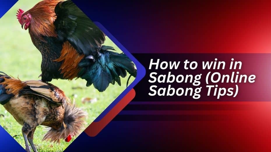 Tips for Winning at PHBET Sabong - PHBET